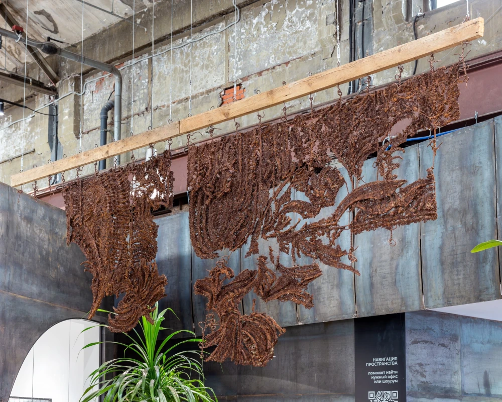 выставки в питере фото